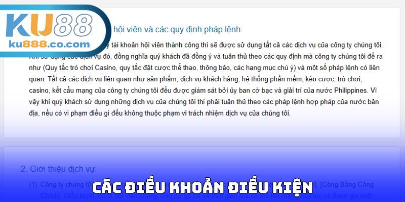 Các điều khoản điều kiện
