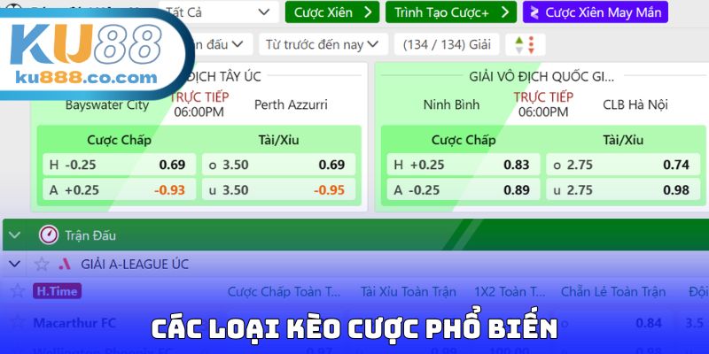 Các loại kèo cược phổ biến
