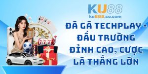 Đá Gà Techplay