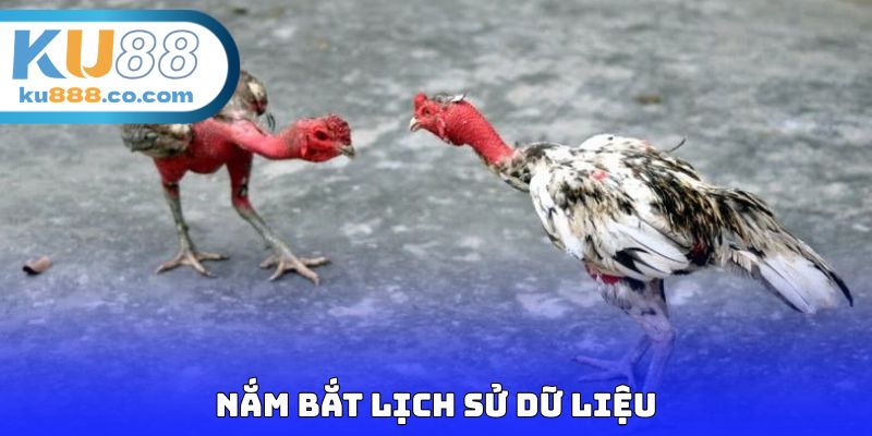 Nắm bắt lịch sử dữ liệu