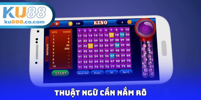 Thuật ngữ cần nắm rõ